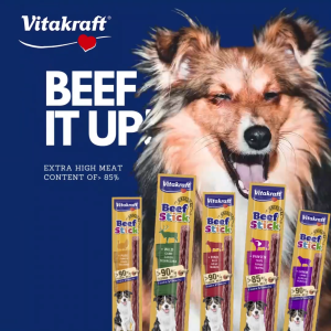 Vitakraft - Beef Stick Dog Treat Sugar-free recipe Extra high meat content of over 85% [Bundle of 15]