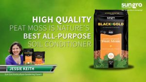 Peat Moss Black Gold Natural & Organic Canadian Sphagnum Peat Moss Plus (USA Imported)