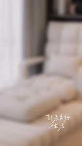 Foldable Home Use Lazy Sofa