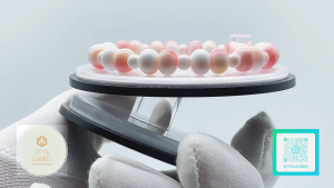 SG LOCAL - Authentic Queen Conch Shell Bracelets 女皇呗手串