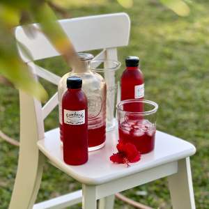 Kombucha Hibiscus (Antioxidant & Probiotics)