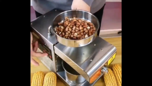 Household Small Fully Automatic Multi-functional Stainless Steel Intelligent Household Peanut Hot and Cold Commercial Oil Frying Machine