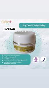 ECER DAY CREAM / KRIM SIANG WHITENING PLATINUM ORLIN BEAUTY/KULIT NORMAL/ORLIN BEAUTY