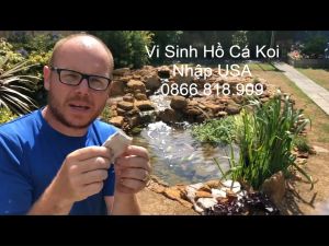 Vi Sinh Mỹ Aqua Plus Chuyên Làm Sạch Nước Cho Hồ Nuôi Cá KOI - Nuôi Tôm 1 Gói 227g