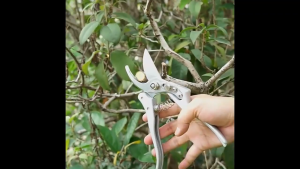 Made in Japan SK-5pruning Labor-saving Pruning Shears Branch Scissors Garden Tools Fruit Branch Shears Outdoor Orchard Pruners
