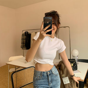 Slim Fit Cotton T Shirt
