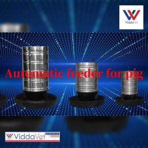 10KGS TO 50kgs capacity Heavy Duty Rotary Pig Feeder Automatic Pig Rotary Feeder For Piglet stainless steel body feeder