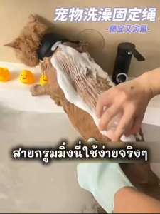 OMT สายกรูมมิ่ง สายรัดช่วยในการอาบน้ำสัตว์เลี้ยงให้ง่ายขึ้น พร้อมกับตัวยึดที่แน่น สายไม่บาดคอ เล็กกระทัดรัด สะดวกพกพา