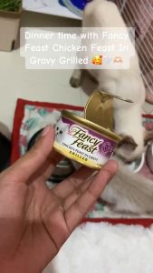 85g Purina Fancy Feast All Stages Adult Kitten Cat Cats Wet Food Can Pet Daily Nutrition Meal