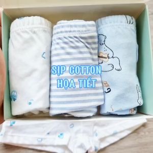 Set 3 quần sịp bé trai Gee vải 100% cotton mềm mịn mát thấm hút mồ hôi size 8-25kg