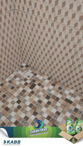 CLEAN-TEXS Pembersih Porselen 1 liter dan 16 liter