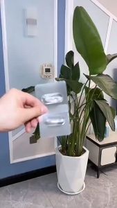 Multifunctional Transparent Ring Sticky Adhesive Wall Hooks Free Punch Shower Gel Bottle Holder Wall Mount Home Bathroom