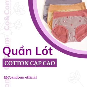 Quần lót nữ bigsize lót đũng chất liệu cotton thông thoáng  kháng khuẩn co giãn thoải mái (CoandCom NO320077)