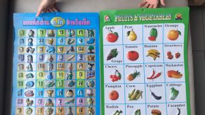 โปสเตอร์หัดอ่าน ก.ไก่ - ฮ.นกฮูก สำหรับเสริมเด็ก - 4 แบบ แผ่นการเรียนรู้ ครบชุด - แผ่นภาพโปสเตอร์พลาสติก แบบฝึกอ่าน โปสเตอร์ฝึกอ่าน พิมพ์นูน ก-ฮ /ABC/ผลไม้/สัตว์ต่างๆ - รุ่นใหม่ เนื้อนู่ 2 มิติ ไม่ขาดง่าย