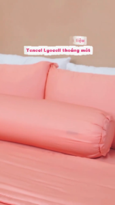 [x2 Quà Tặng] Bộ ga gối 3 món Lụa Tencel Lyocell Chavina Bedding size 1m2 đếm 2m2 bao gồm 1 drap và 2 vỏ gối nằm cao cấp