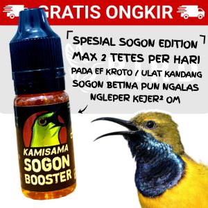 KAMISAMA SOGON BOOSTER Vitamin Burung ATP Adenosine Triphosphate Kolibri Sogon Konin