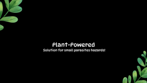 🇰🇷 Natural Flea & Tick Lice Spray-On 350ml (Natural Plant Based) for Dogs and Cats