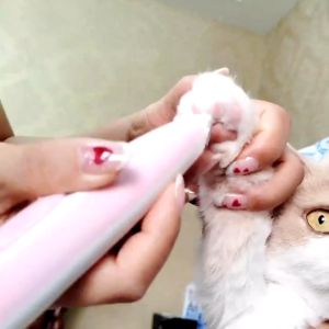 Tông đơ tỉa lông cho thú cưng có đèn LED Tông Đơ tỉa lông cho chó/mèo loại sạc điện  Máy cạo lông thú cưng: sự lựa chọn chu đáo để chăm sóc thú cưng