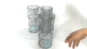 Lợp Ếch 2 Hom 1 Đầu