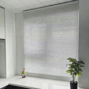 BAIWENFANG | Light Blocking Roll-up Curtain
