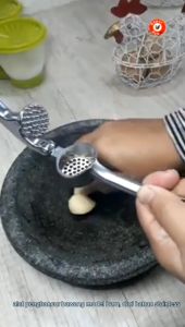 Alat Penghalus Cincang Bawang Putih Garlic Press Stainless Steel anti karat