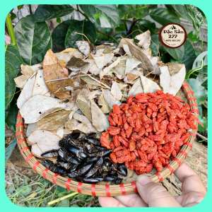 Set Bổ Thận Tráng Dương Bổ Củi + Dâm Dương Hoắc + Kì Tử đỏ - Bổ dươn.g cường gân cốt tăng cườn.g sinh l.ý na.m giới tăng nội tiết tố na.m một cách tự nhiên hỗ trợ các chứng suy giả.m chức năng sin.h l.ý— Đặc Sản 277