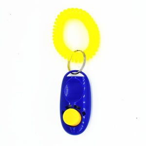 Training And Sound Pet Bird Toy