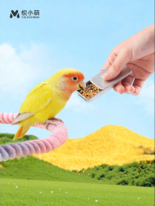 YUEXIAOMENG | Bird Training Food Box Feeder