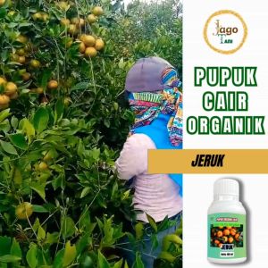 Pupuk Organik Cair Jeruk 100 Ml Booster Pelebat Buah Dan Penyubur Tanaman By Jagotani Yogyakarta