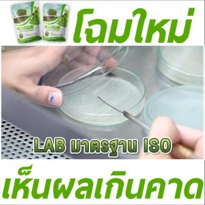 ซุปเปอร์ไตรโค ตราเทพมงคล ( ไตรโคเดอร์มา)แบบผง 500กรัม เพาะเชื้อจากห้อง LAB พร้อมใช้ ปลอดภัย 100 %