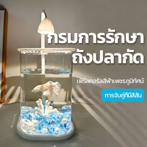ปลากัดถัง ตู้ปลา ตู้ปลาพลาสติกใส ตู้ปลาเล็ก วางไว้บนโต๊ะทํางานของคุณ มีไฟ LED สําหรับให้แสงสว่าง มีให้เลือกหลายสไตล์