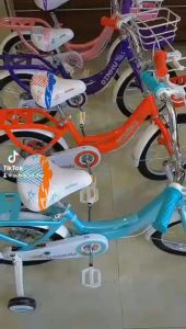 Xe đạp trẻ em hàng cao cấp niềng nhôm cho bé gái từ 3 - 6 tuổi