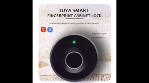 Electronic Key Lock Intelligent Electric Smart Fingerprint Drawer Lock Tuya Smart Small Fingerprint Cabinet Lock