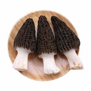 Nấm Morel Yunnan Hoang Dã 500g