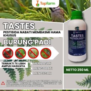 Obat Hama Burung Untuk Padi / Obat Padi Untuk Hama Burung / Obat Padi Anti Burung Pipit / Obat Burung Untuk Padi / Obat Semprot Padi Anti Burung / Obat Padi