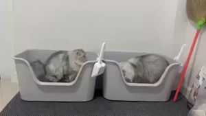 GREENPETS Large Cat Litter Box Handheld Cat Toilet Anti Splashing Deodorization With Scoop Cat Toilet