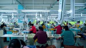 2024 Australia Wallabies kanggaru 2024 2025 Pakaian latihan jersi ragbi singlet t-shirt seluar pendek baju ragbi jaket