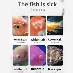 MONLEYTA | Fish Medication for Water Mold and Ich Treatment