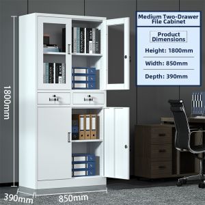 MOLORE | Office Lockable File Cabinet
