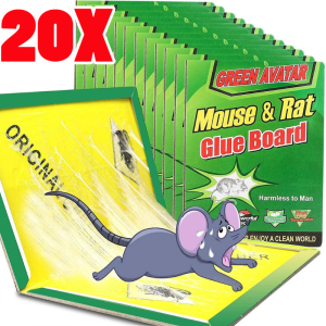 20/10 ชิ้น แผ่นกาวดักหนู / แผ่นกาวดักหนูประสิทธิภาพสูง / แผ่นกาวดักหนูปลอดสารพิษ / แผ่นกาวดักหนูแบบมีกาวในตัวสำหรับในร่มและกลางแจ้ง / แผ่นกาวดักหนูสำหรับจับหนูในร่มและกลางแจ้ง