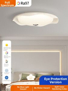 DGY | Ultra Thin Ultra Bright Eye-Protective Bedroom Ceiling Light