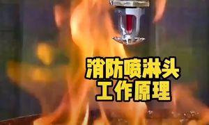 50PCS 68℃ Fire Extinguishing System Protection Quick Response Water Device Home Commercial Head Upright/Pendent Sprinklers