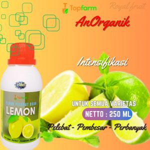 Pupuk Pelebat Buah Lemon / Pupuk Buah Lemon / Pupuk Pelebat Buah Buahan / Pupuk Tanaman Lemon Lokal / Pupuk Pembesar Buah Lemon