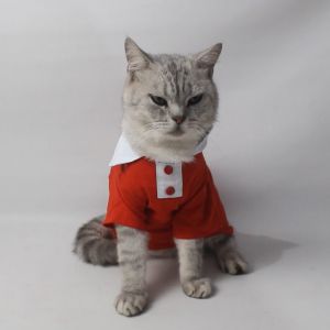 Baju kucing anjing kelinci monyet cowok cewek lucu - Buki Golden Paw Gong Xi Shirt & Dress Series