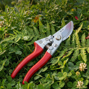 Zhang Xiaoquan | Household Lawn Trimmer Grass Shears