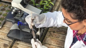 จัดส่งใน24ซม.5ชิ้น/ชุด ชุดทดสอบดิน วัดค่า ph ดิน สารละลายทดสอบ วัดไนโตรเจน แอมโมเนีย ฟอสฟอรัส โพแทสเซียม