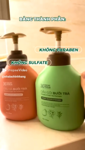[HCM] Combo Dầu gội và dầu xả bưởi trà COCAYHOALA VIETNAM - Dưỡng Tóc Chắc Khỏe Mềm Mượt Tự Nhiên