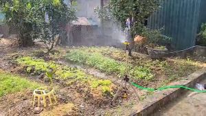 Béc tưới cây vòi tưới cây phun mưa cánh đập 21mm chỉnh được góc và bán kính tưới