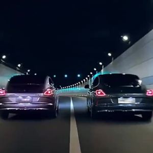 Ora 07/Grand Cat Lightning Cat Door Slot Mat Interior Modification Central Control Special Water Coaster Anti-Slip Mat Decorative Mat