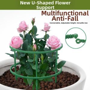 Crab Cactus Adjustable Plant Support Frame